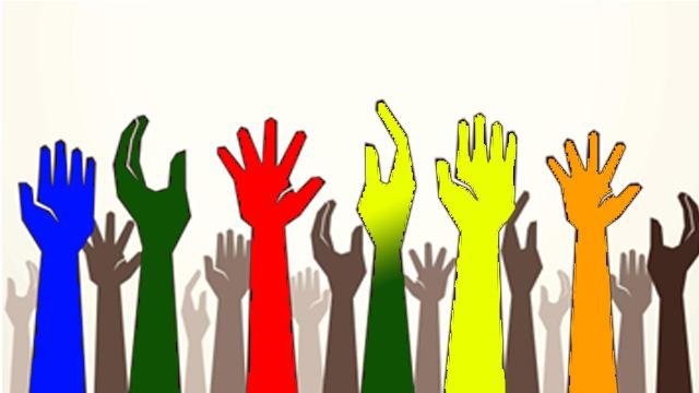 The Watchdog Role: Opposition in Governance