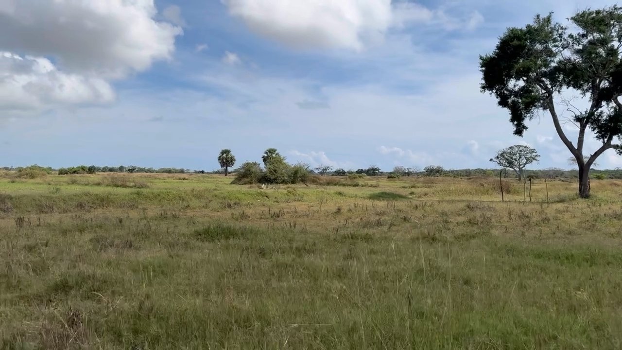 வடக்கில் பல வடிவங்களில் தொடரும் காணி பிரச்சினை