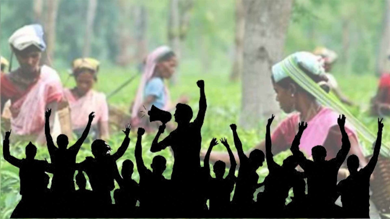 200 வருட வலிகளுக்கு ரூ.1700 தான் தீர்வா?