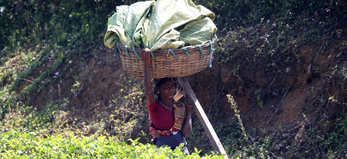 வரலாற்று தவறு சீர்செய்யப்படுமா?